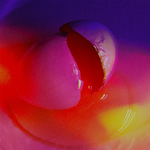 Photo de CEREMOANING