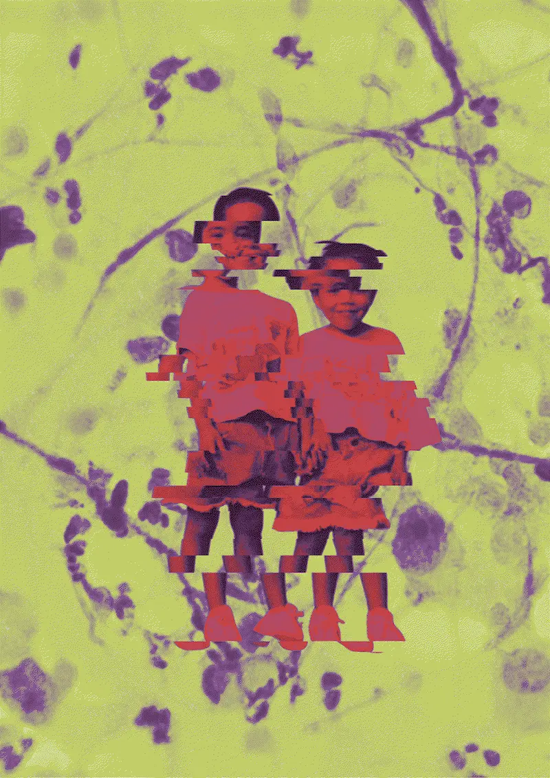 
                  image illustrant le spectacle Cytokinèse
                