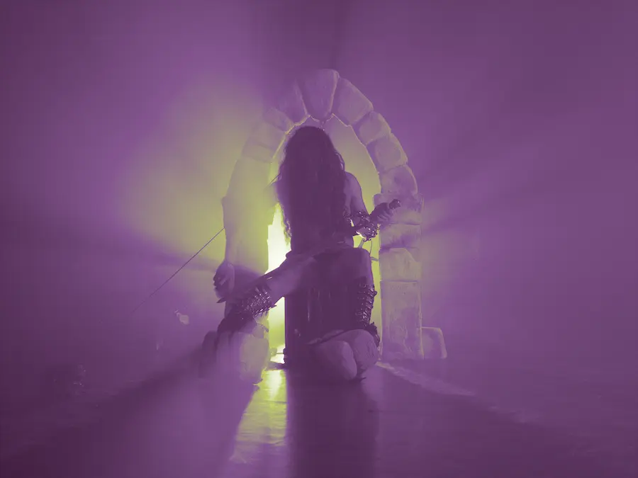 
                  image illustrant le spectacle Dildo’s Laments
                