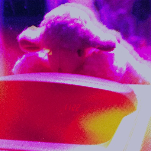 Photo de La route est longue