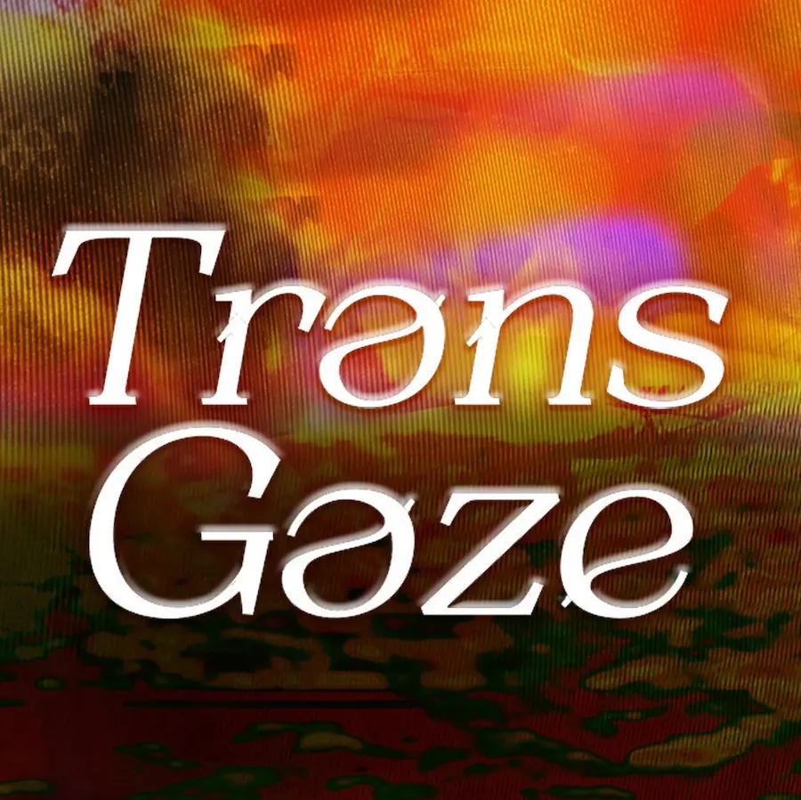 
                  image illustrant le spectacle Trans Gaze
                